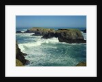Mendocino Coast, CA by Anonymous