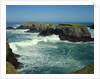 Mendocino Coast, CA by Anonymous
