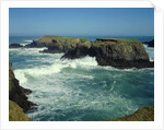 Mendocino Coast, CA by Anonymous