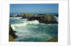 Mendocino Coast, CA by Anonymous