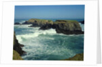 Mendocino Coast, CA by Anonymous