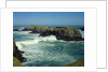 Mendocino Coast, CA by Anonymous