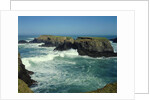 Mendocino Coast, CA by Anonymous