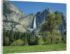 Yosemite Falls by Anonymous