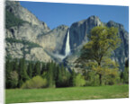Yosemite Falls by Anonymous