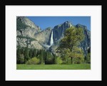 Yosemite Falls by Anonymous