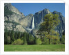 Yosemite Falls by Anonymous