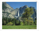 Yosemite Falls by Anonymous