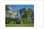 Yosemite Falls by Anonymous