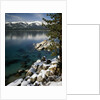 Lake Tahoe by Anonymous