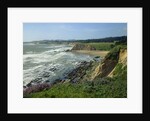Sonoma Coast by Anonymous