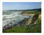 Sonoma Coast by Anonymous
