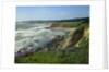 Sonoma Coast by Anonymous