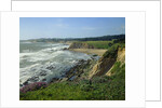 Sonoma Coast by Anonymous