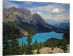 Peyto Lake by Anonymous