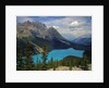 Peyto Lake by Anonymous
