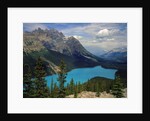 Peyto Lake by Anonymous