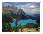 Peyto Lake by Anonymous