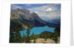 Peyto Lake by Anonymous