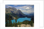 Peyto Lake by Anonymous