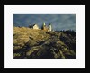 Pemaquid Lighthouse by Anonymous
