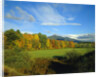 White Mountains by Anonymous