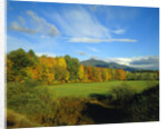 White Mountains by Anonymous