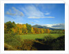White Mountains by Anonymous