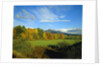 White Mountains by Anonymous