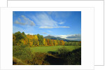 White Mountains by Anonymous