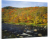 Autumn Colors Along Au Sable River by Anonymous