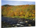 Autumn Colors Along Au Sable River by Anonymous