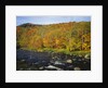 Autumn Colors Along Au Sable River by Anonymous