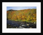Autumn Colors Along Au Sable River by Anonymous