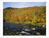 Autumn Colors Along Au Sable River by Anonymous