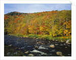 Autumn Colors Along Au Sable River by Anonymous