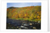 Autumn Colors Along Au Sable River by Anonymous