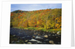 Autumn Colors Along Au Sable River by Anonymous