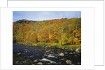 Autumn Colors Along Au Sable River by Anonymous
