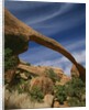 Landscape Arch by Anonymous