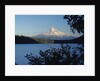Lost Lake and Mount Hood by Anonymous