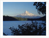 Lost Lake and Mount Hood by Anonymous