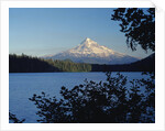 Lost Lake and Mount Hood by Anonymous