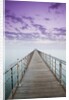 Pier Jutting Out into the Persian Gulf by Anonymous