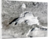 Severe Winter Covers Lake Superior in Sheets of Ice by Anonymous