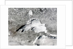 Severe Winter Covers Lake Superior in Sheets of Ice by Anonymous