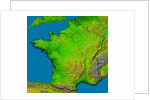 Topographic Image of France by Anonymous