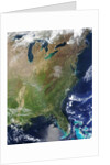 Eastern Half of the USA by Anonymous