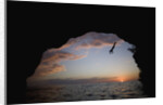Young Man Diving into Sea at Pirate's Cave by Anonymous