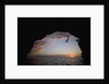 Young Man Diving into Sea at Pirate's Cave by Anonymous